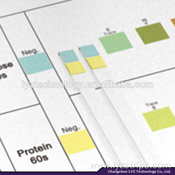 urine reagent strips urine test kits 2 para